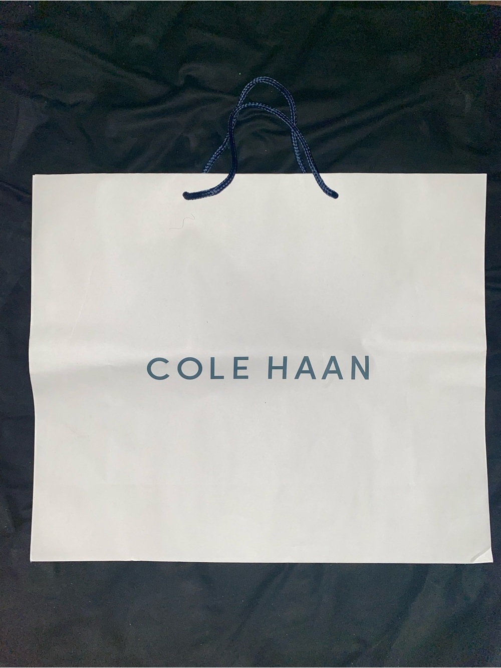Cole Haan Shopping Gift Bag, Large, White and blue